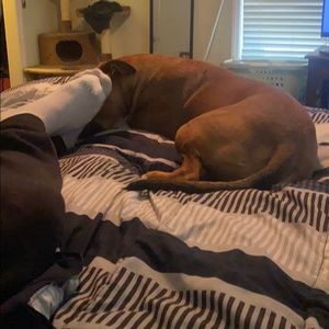 Meet your Posher, Phil